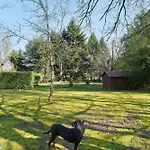 D'hôtes L'orée Du Bois Bed & Breakfast Montpon-Menesterol