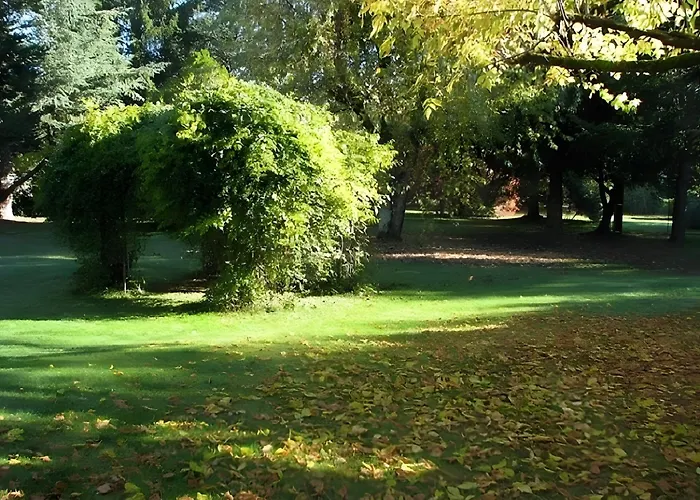 D'hotes L'oree Du Bois Montpon-Menesterol