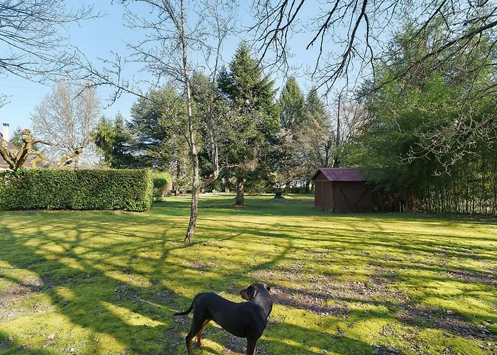 D'hotes L'oree Du Bois Bed & Breakfast Montpon-Menesterol